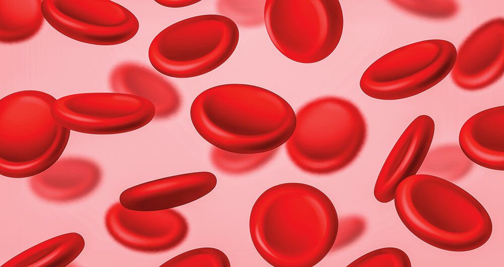 Diseñan herramienta para avanzar en la lucha contra el cáncer. 