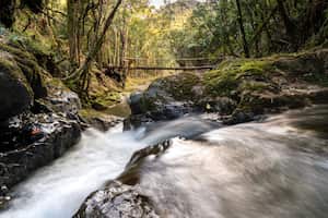 El Cerro Bonifacio es uno de los atractivos naturales más populares en Semana Santa, ubicado en el municipio El Carmen de Viboral, Antioquia.