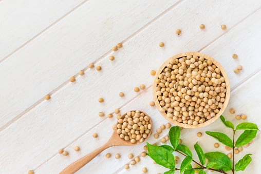 Este superalimento trae también otro tipo de beneficios para el cuerpo humano.