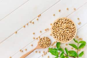 Este superalimento trae también otro tipo de beneficios para el cuerpo humano.