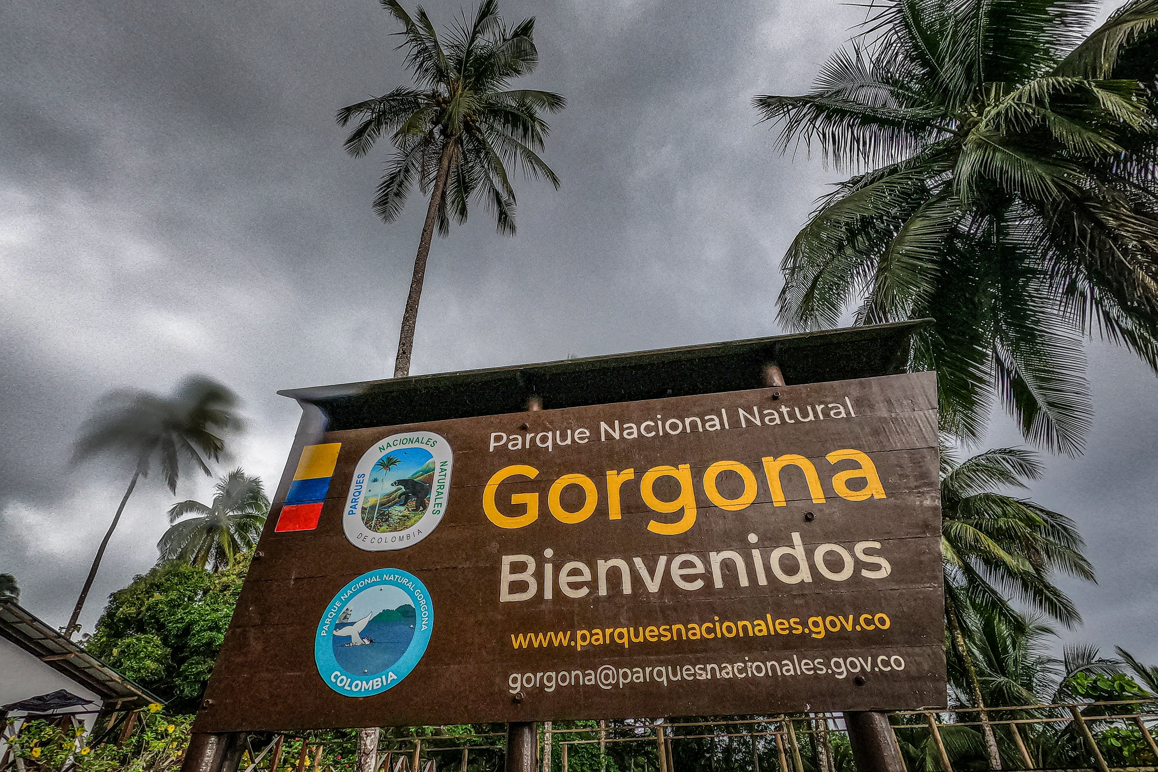 La Isla Gorgona, ubicada en el Pacífico colombiano (Cauca), es un Parque Nacional Natural famoso por ser un "laboratorio vivo" de biodiversidad, que pasó de ser una temida prisión de máxima seguridad (1959-1984) a un paraíso ecoturístico. Destaca por sus arrecifes de coral, avistamiento de ballenas jorobadas (julio-octubre), buceo, ruinas selváticas y especies endémicas.