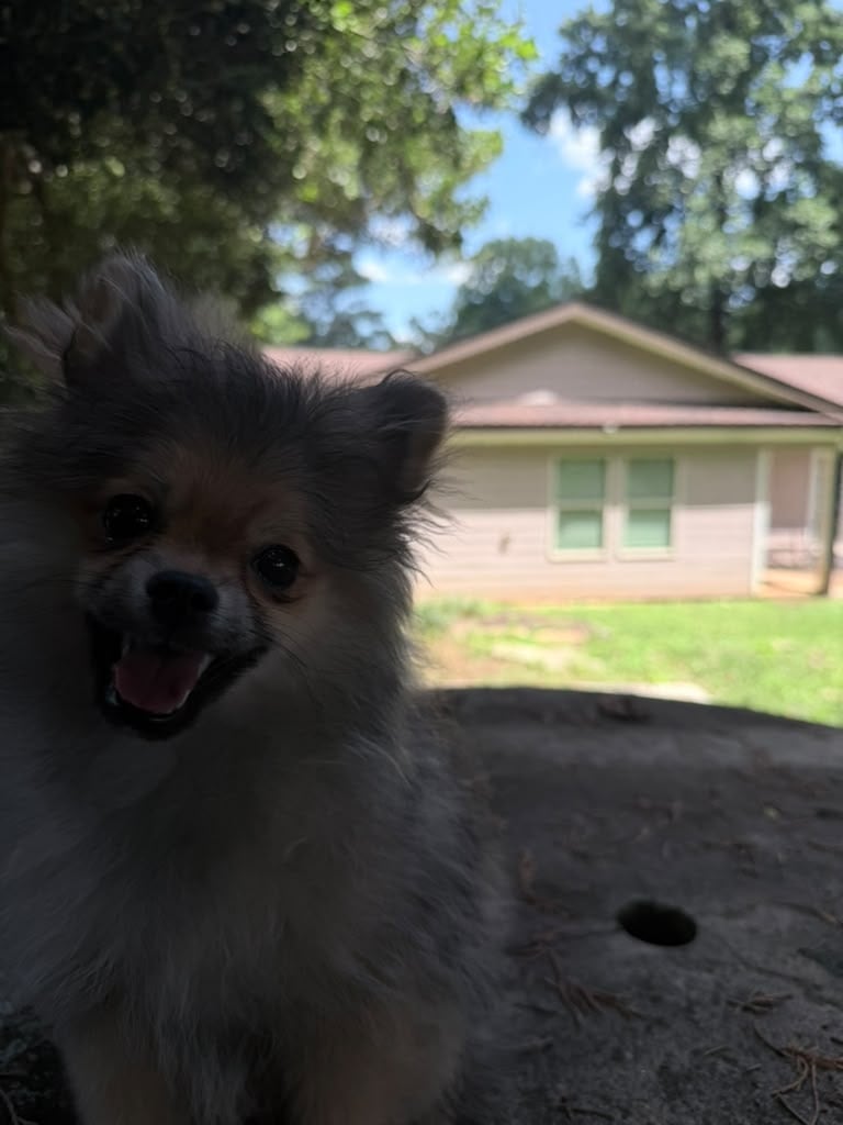 René, dueño de uno de los perros.