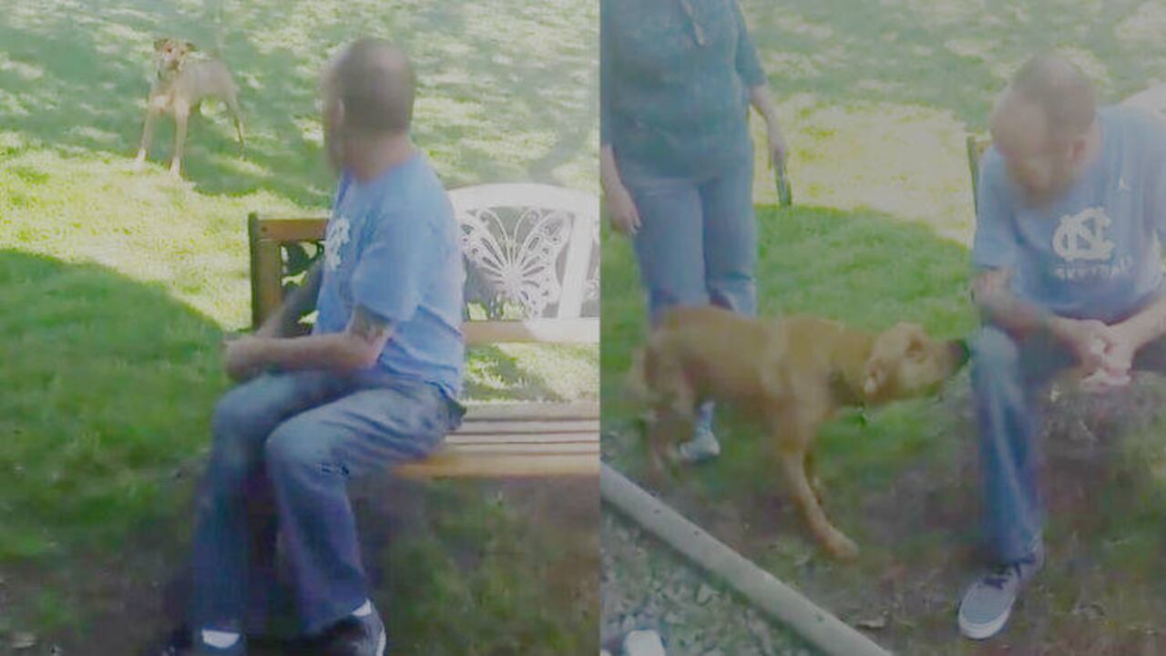 Video de Shane Godfrey