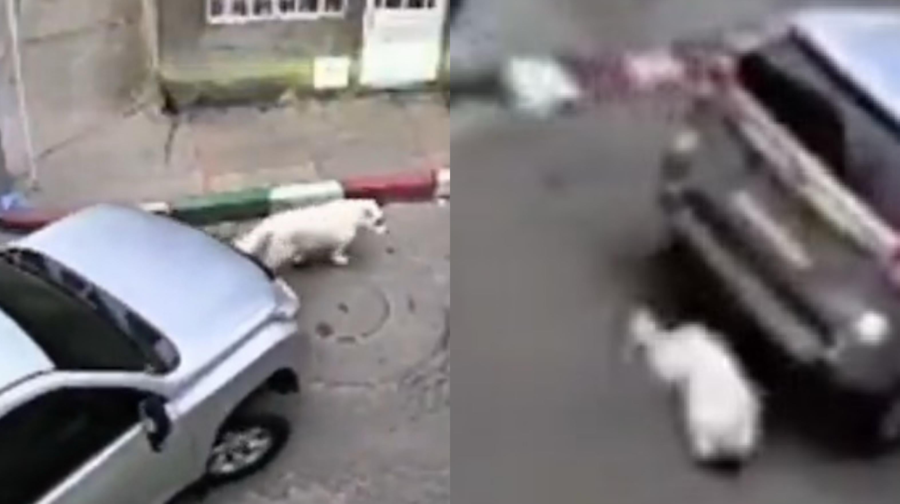 El incidente sucedió en el barrio Roma.