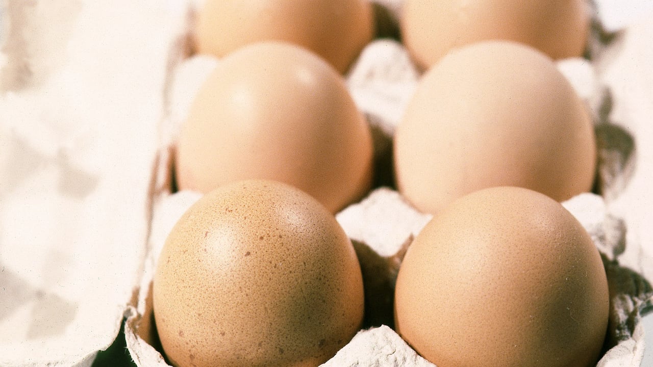 Este alimento tiene un grupo aporte de vitamínas y proteína.