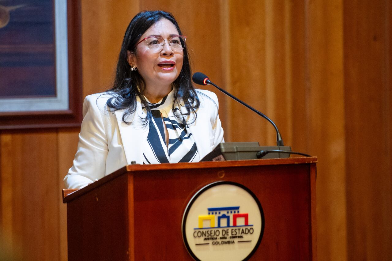 CONSEJO DE ESTADO ELIGIÓ NUEVA AUDITORA