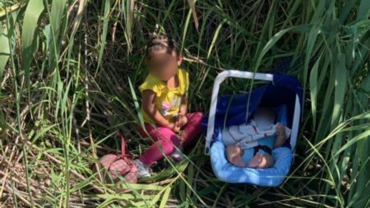 Los pequeños se encuentran en buen estado y fueron trasladados a una estación de procesamiento en Uvalde, Texas.