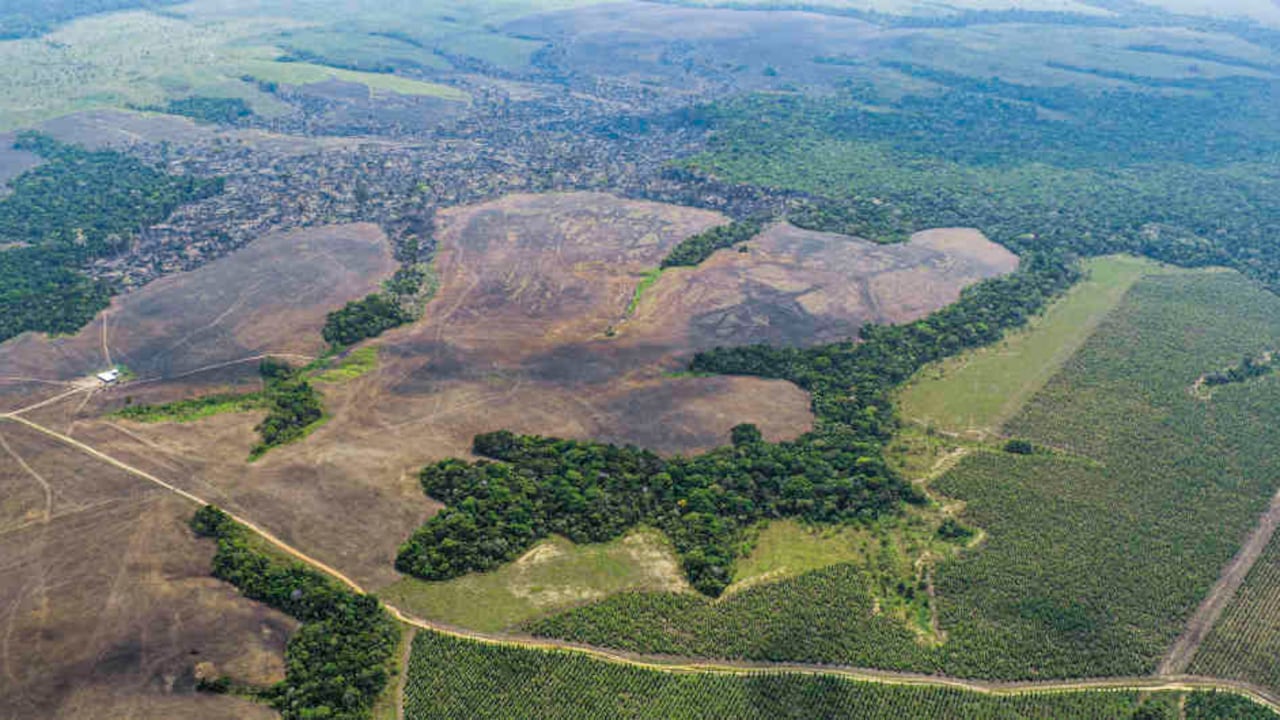 Entre enero y el 15 abril de este año los diez departamentos amazónicos perdieron 75.031 hectáreas de bosque, según un estudio de FCDS. Foto: Rodrigo Botero.