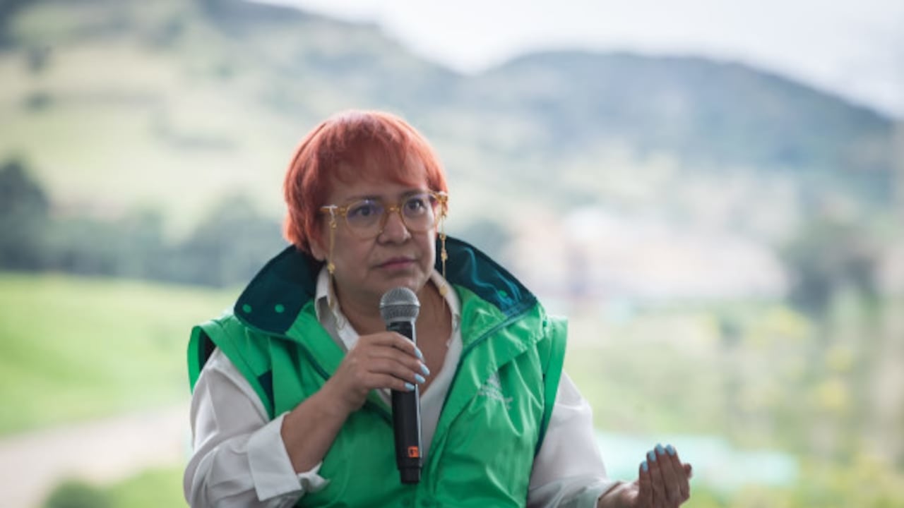 Directora de la Uaesp, Luz Amanda Camacho, explicó las razones del por qué del problema de la basura en Bogotá.