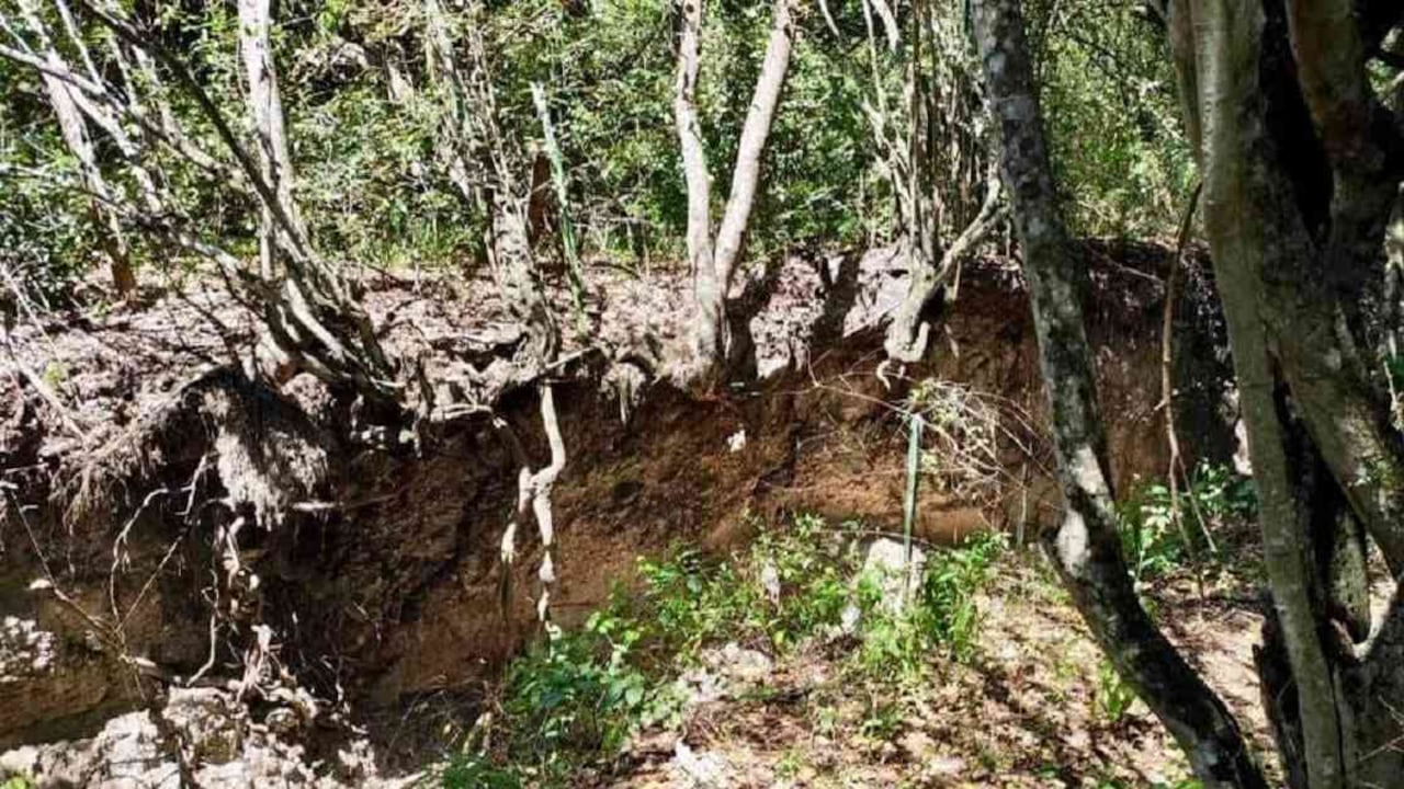 El jardín botánico de Cundinamarca estará ubicado en el municipio de Tocaima. Foto: CAR