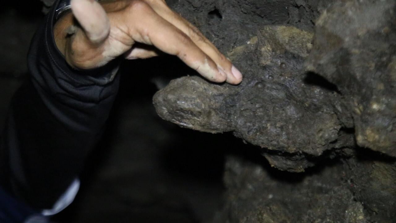 Uno de los huesos de mastodonte en el socavón.