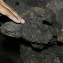 Uno de los huesos de mastodonte en el socavón.