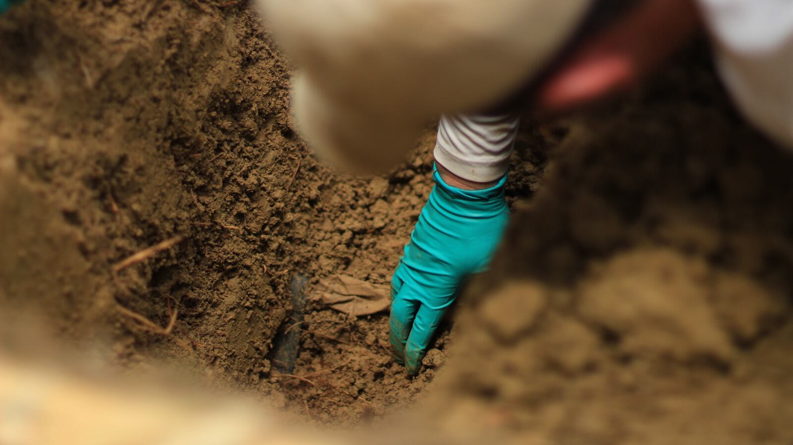 Unidad de Búsqueda de Personas dadas por Desaparecidas (UBPD)