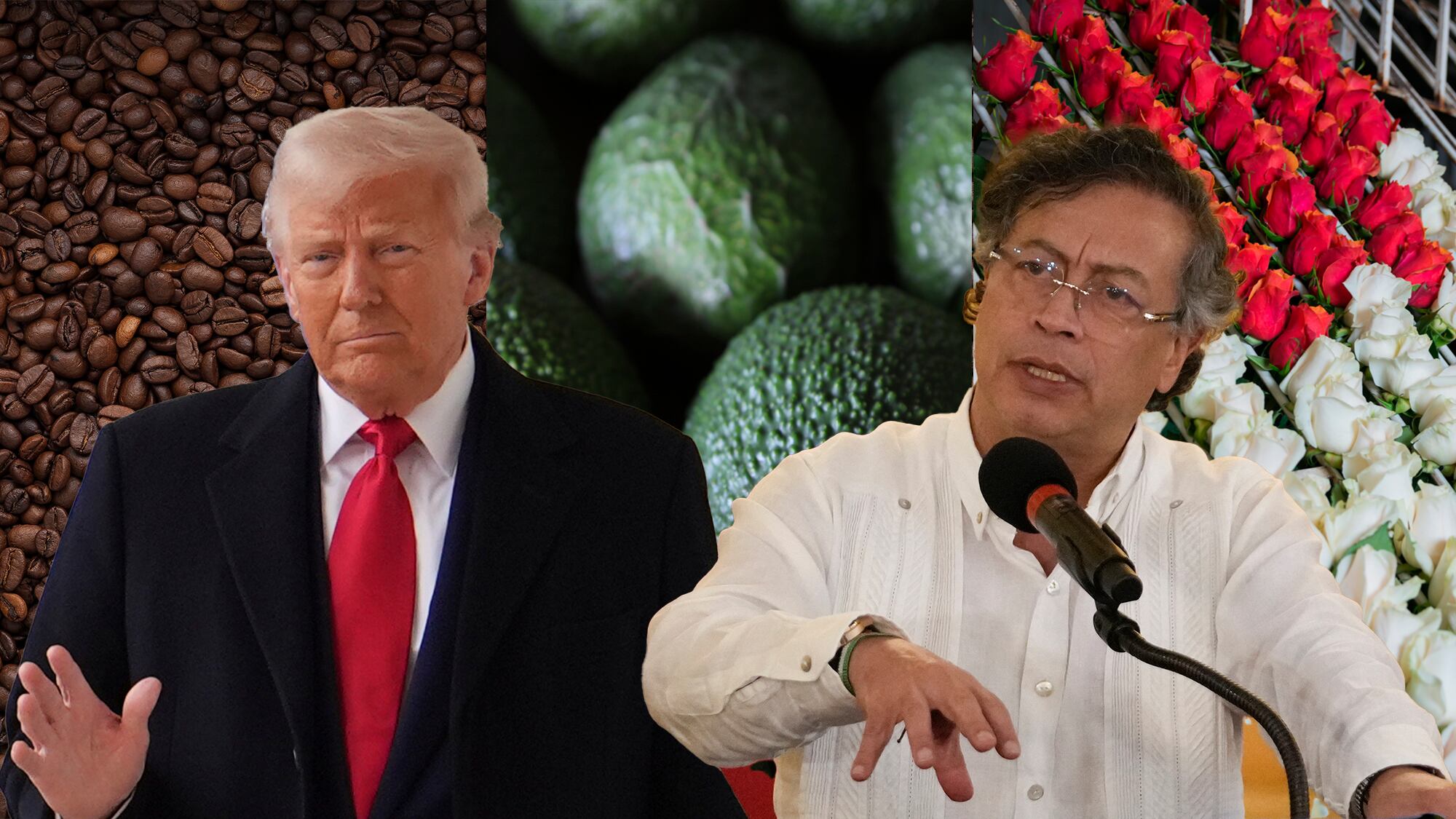 Donald Trumpo Gustavo Petro, Café aguacate Hass y flores