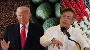 Donald Trumpo Gustavo Petro, Café aguacate Hass y flores