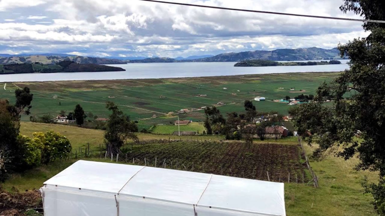 Las mujeres que conforman Asomuc han transitado hacia el cultivo orgánico y la diversificación de productos. También trabajan en temas de empoderamiento femenino, seguridad alimentaria, recuperación de prácticas y saberes, y en la conservación de los ecosistemas.