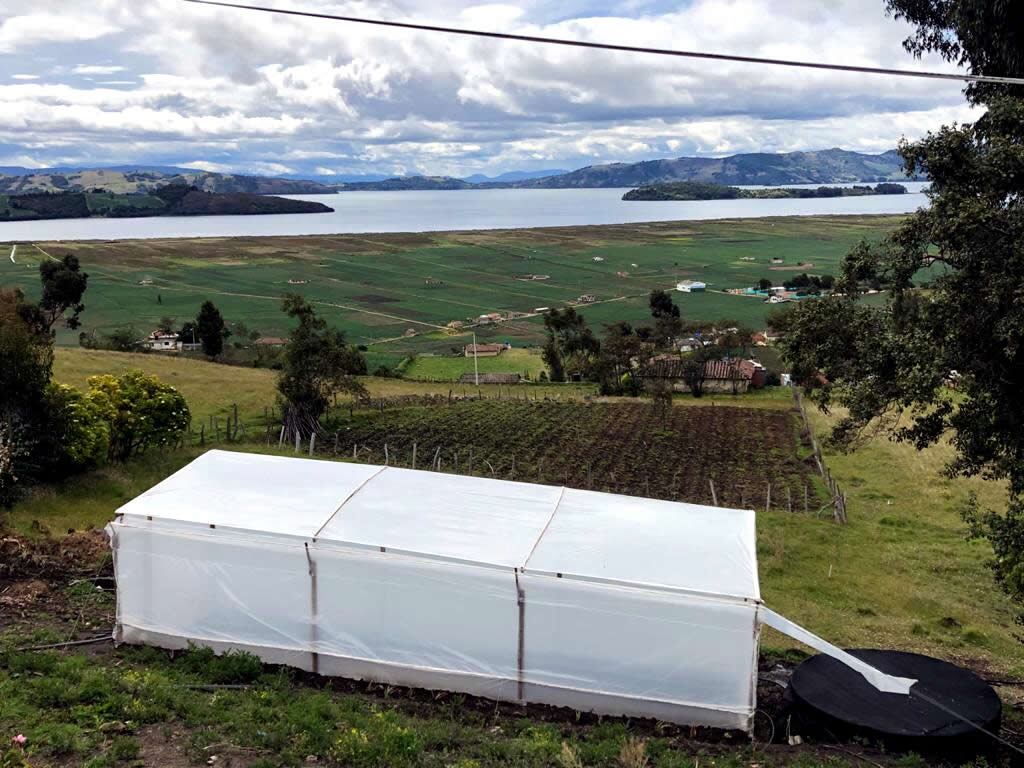Las mujeres que conforman Asomuc han transitado hacia el cultivo orgánico y la diversificación de productos. También trabajan en temas de empoderamiento femenino, seguridad alimentaria, recuperación de prácticas y saberes, y en la conservación de los ecosistemas.