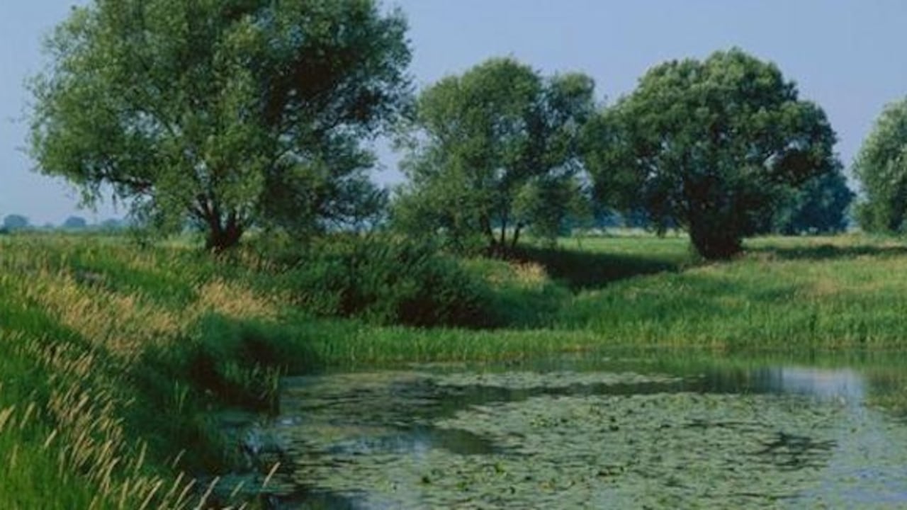 "Debemos devolverle a la naturaleza parte de lo que le hemos quitado".