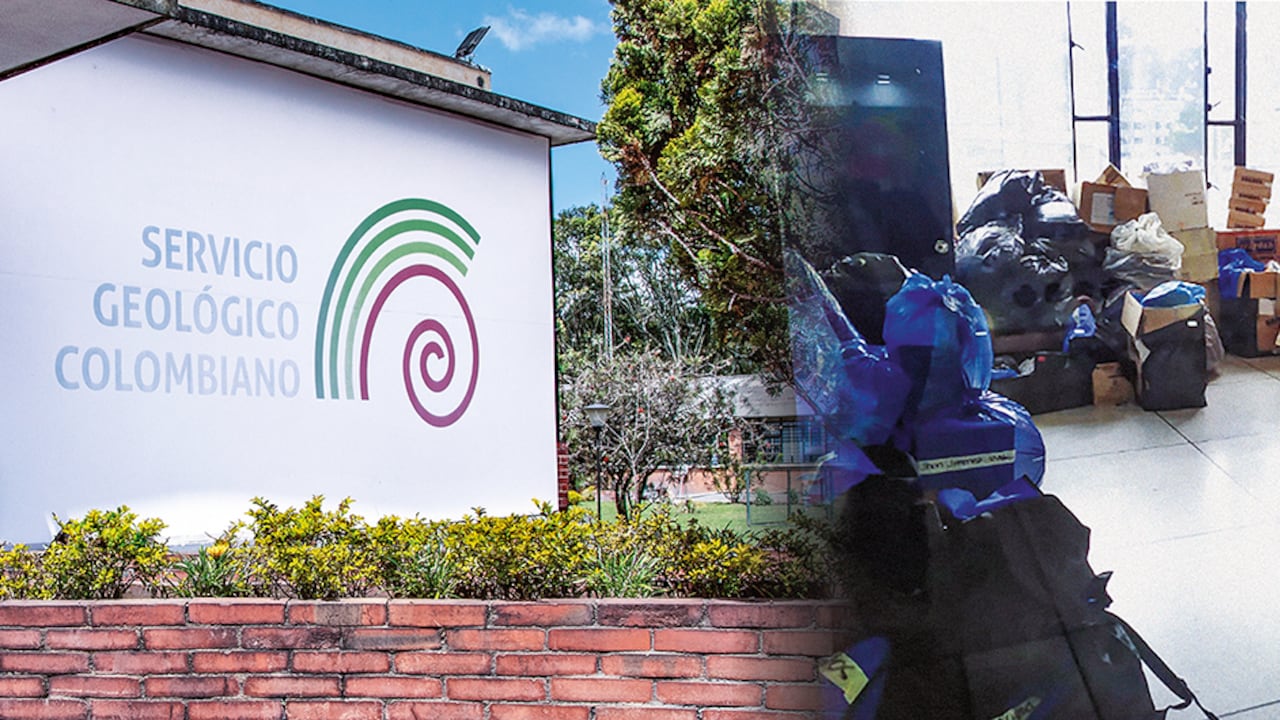 Según trabajadores cercanos a Andrea Barón, el Servicio Geológico Colombiano no monitorea su estado de salud mental, y Julio Fierro, director de la entidad, hace caso omiso de lo que está ocurriendo.