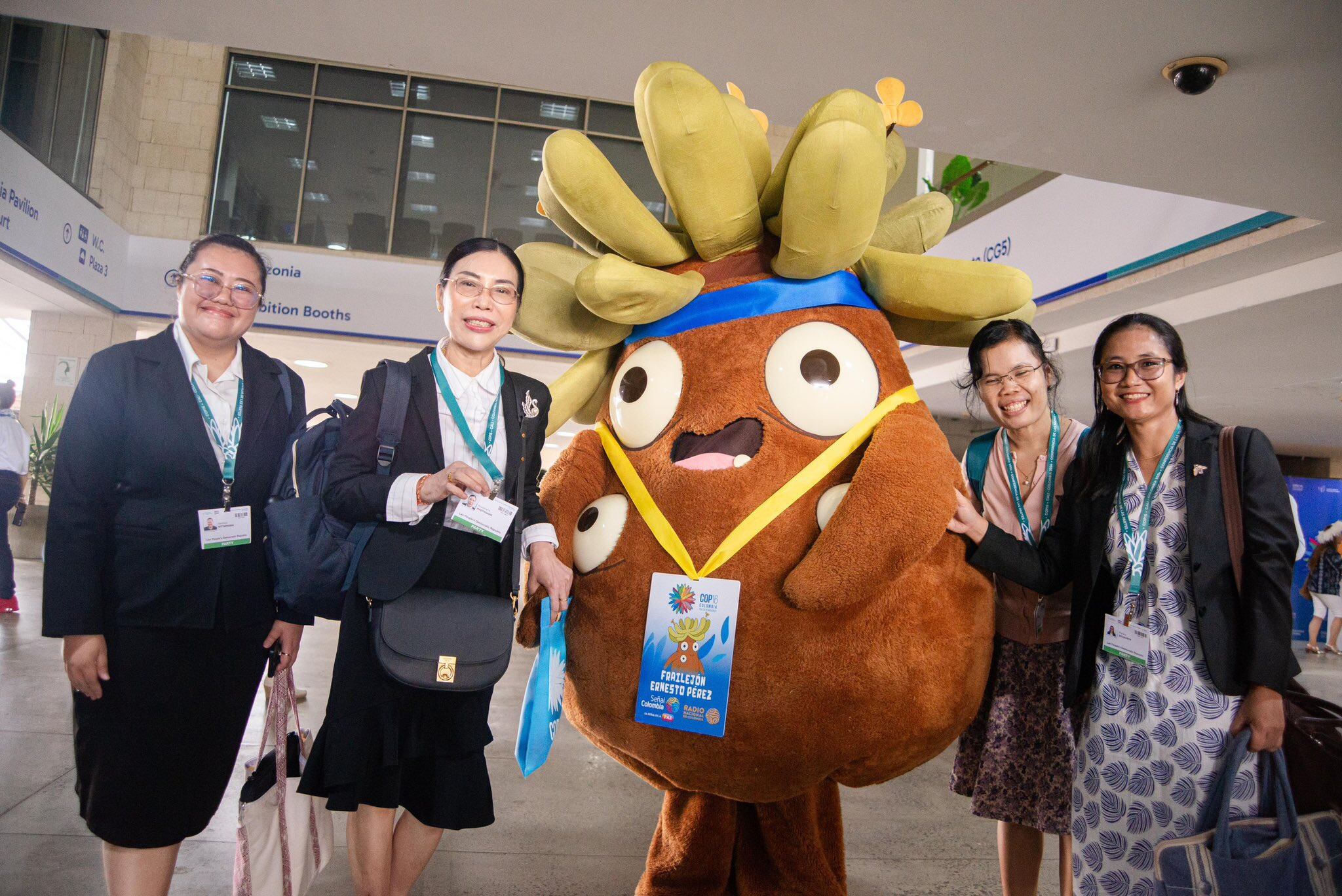 Frailejón Ernesto Pérez