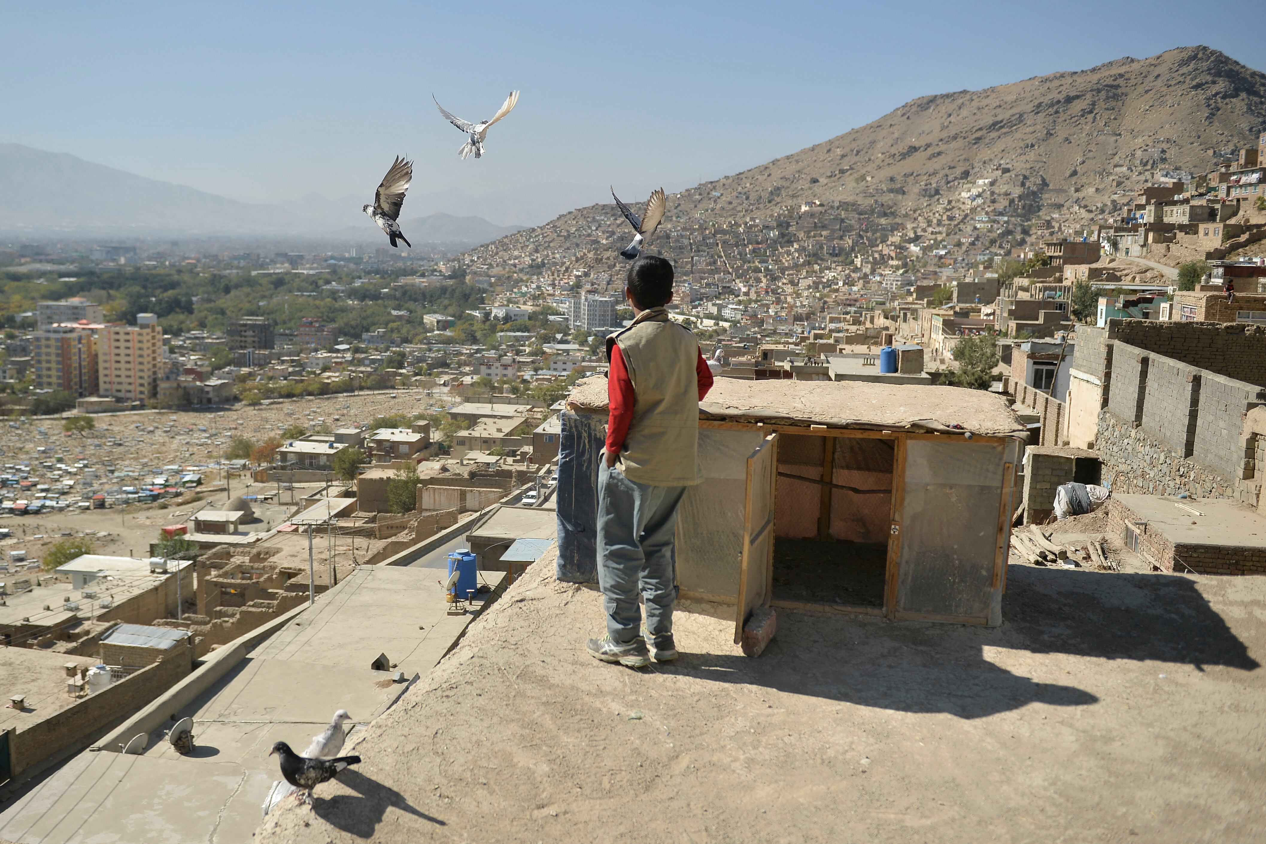 Un niño mira a las palomas volar desde la azotea de una casa en una colina con vistas a Kabul el 23 de octubre de 2021 (Foto de Hoshang Hashimi / AFP).