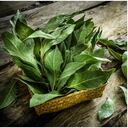 Laurel para el cabello