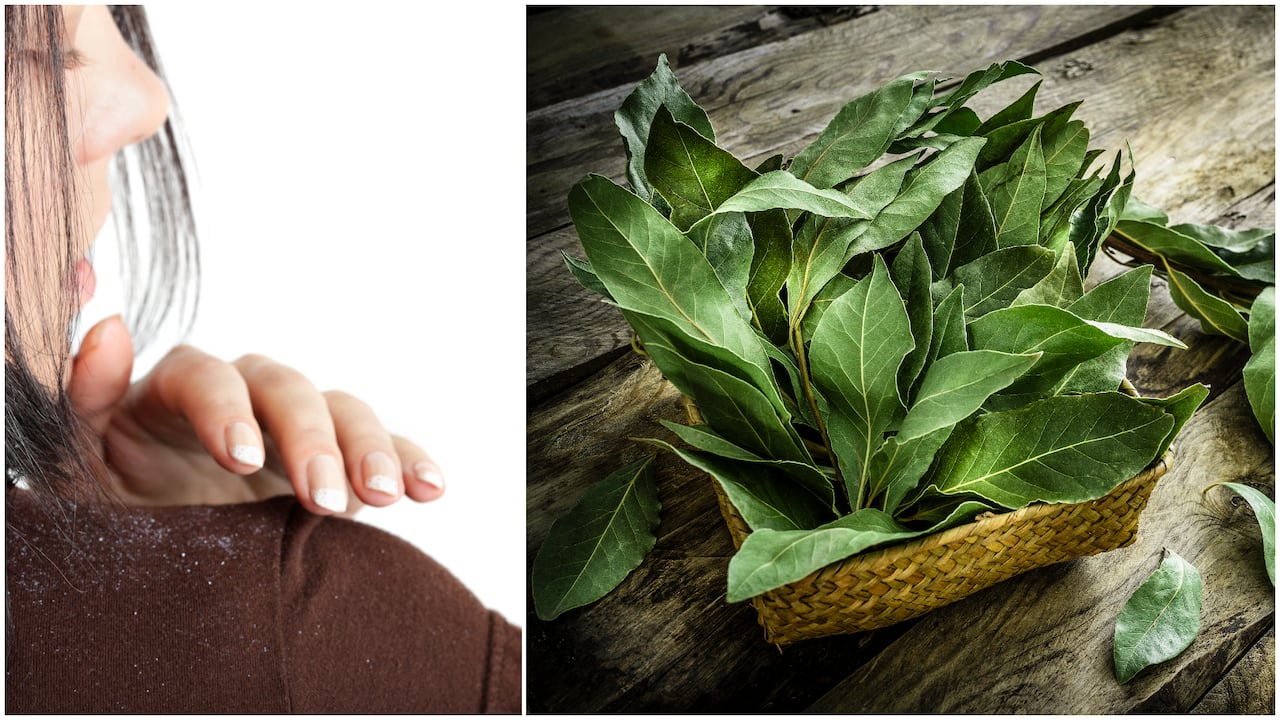 Esta planta aromática puede ayudar en el cuidado del cabello.