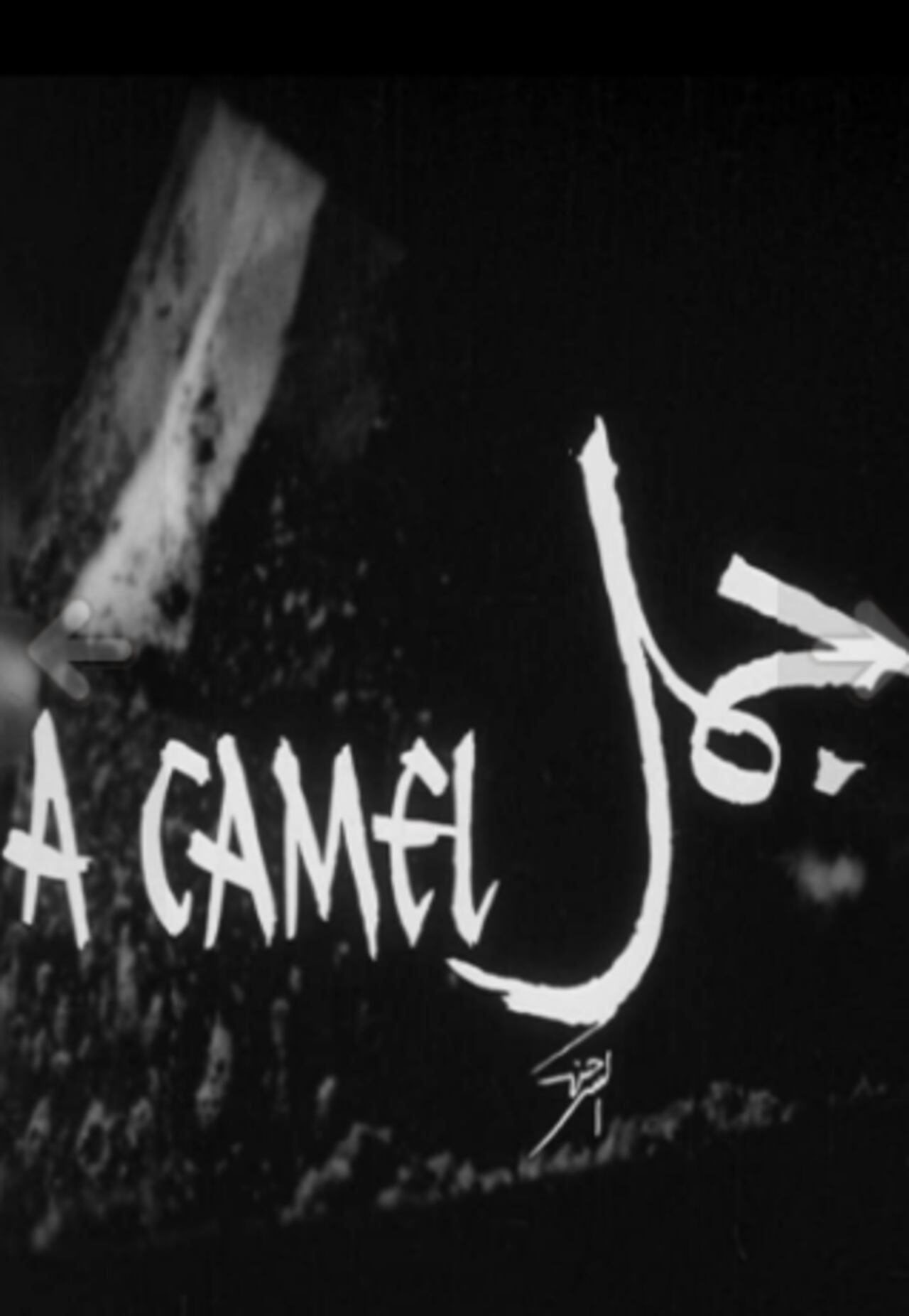 Cortometraje de la Cinemateca de Bogotá