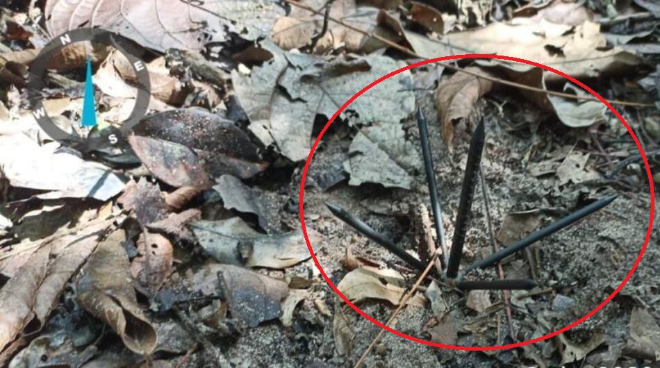 Trampas de origen vietnamita instaladas en Arauca.