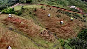 Daño ecológico. En la parte posterior y la zona más baja del lote de Hamacas, ubicado en el sector de Mónaco, en el corregimiento de Los Andes, se han realizado trabajos constante de movimiento de tierras para ir acondicionando nuevos lotes para ampliar el ecohotel y para vender a manera de parcelaciones para que los compradores construyan sus viviendas.