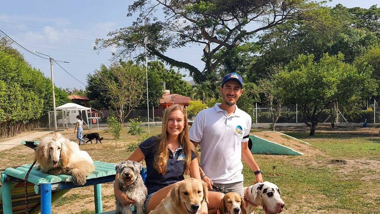 Divrtidogs es un emprendimiento de dos hermanos samarios que aman los perros.