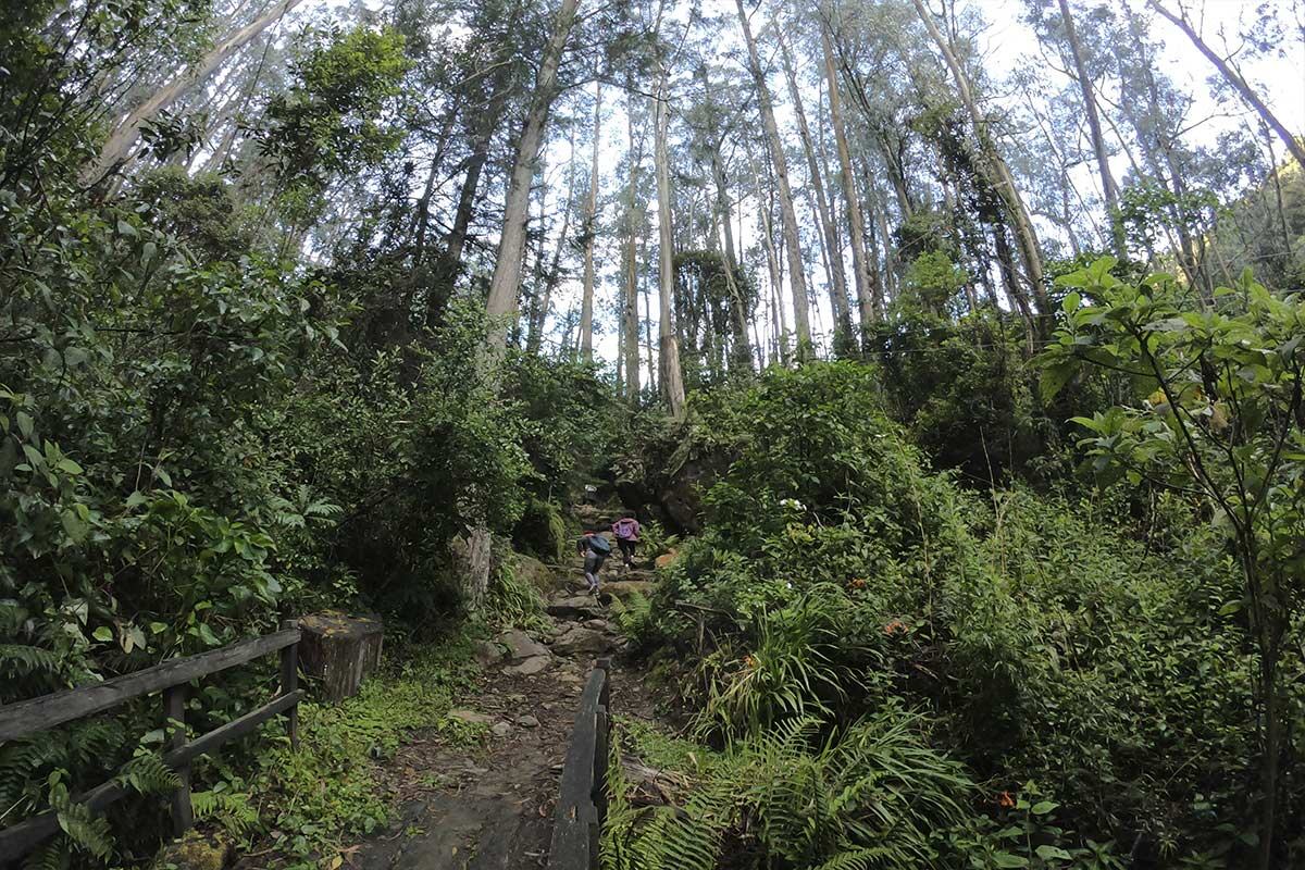 Este sendero está ubicado en la localidad de Chapinero, en Bogotá.