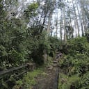 Este sendero está ubicado en la localidad de Chapinero, en Bogotá.