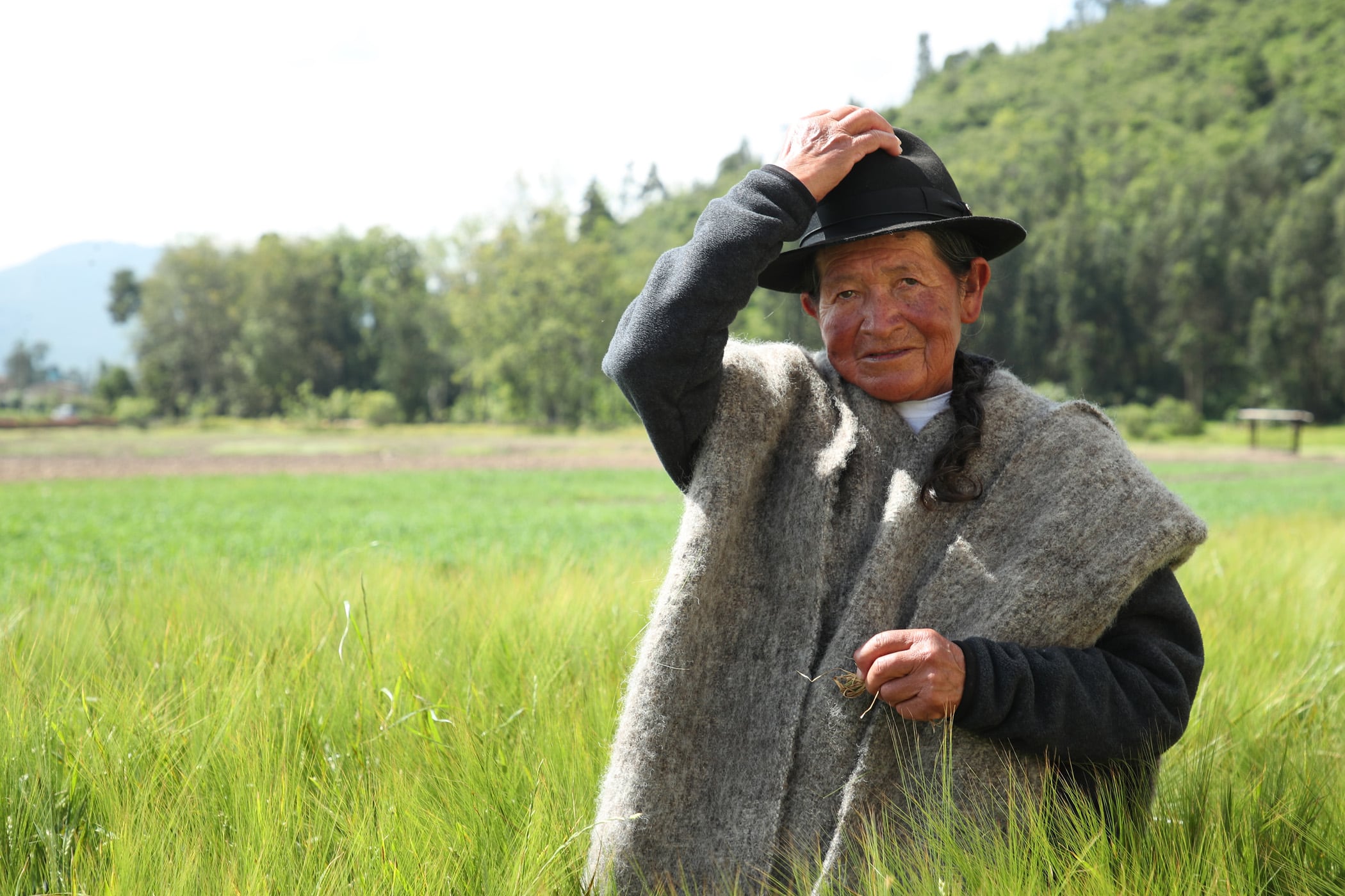 ‘Siembra Bavaria’ ha impactado positivamente la vida de más de 800 familias campesinas en Boyacá y Cundinamarca.