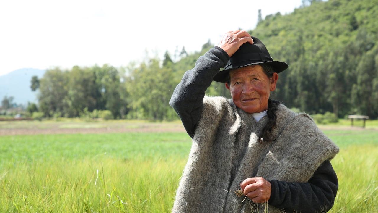 ‘Siembra Bavaria’ ha impactado positivamente la vida de más de 800 familias campesinas en Boyacá y Cundinamarca.