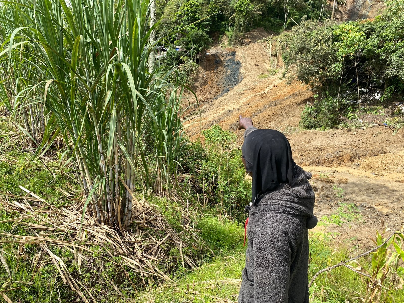 La tierna historia de un caleño y su perro en medio del derrumbe en Rosas; el hombre solo logró rescatar a su mascota: “por él hago lo que sea”.