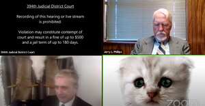 El juez en la audiencia como un gato