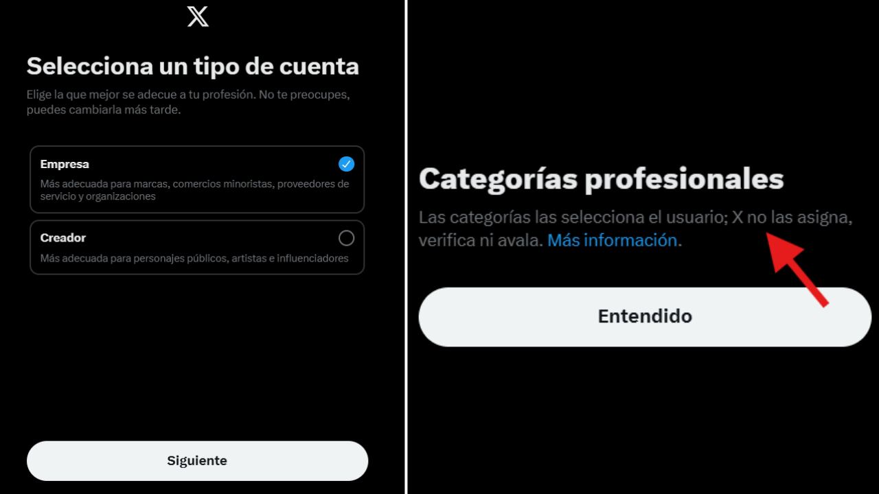 La categoría profesional elegida en X se muestra en el perfil, sin ser verificada por la plataforma.