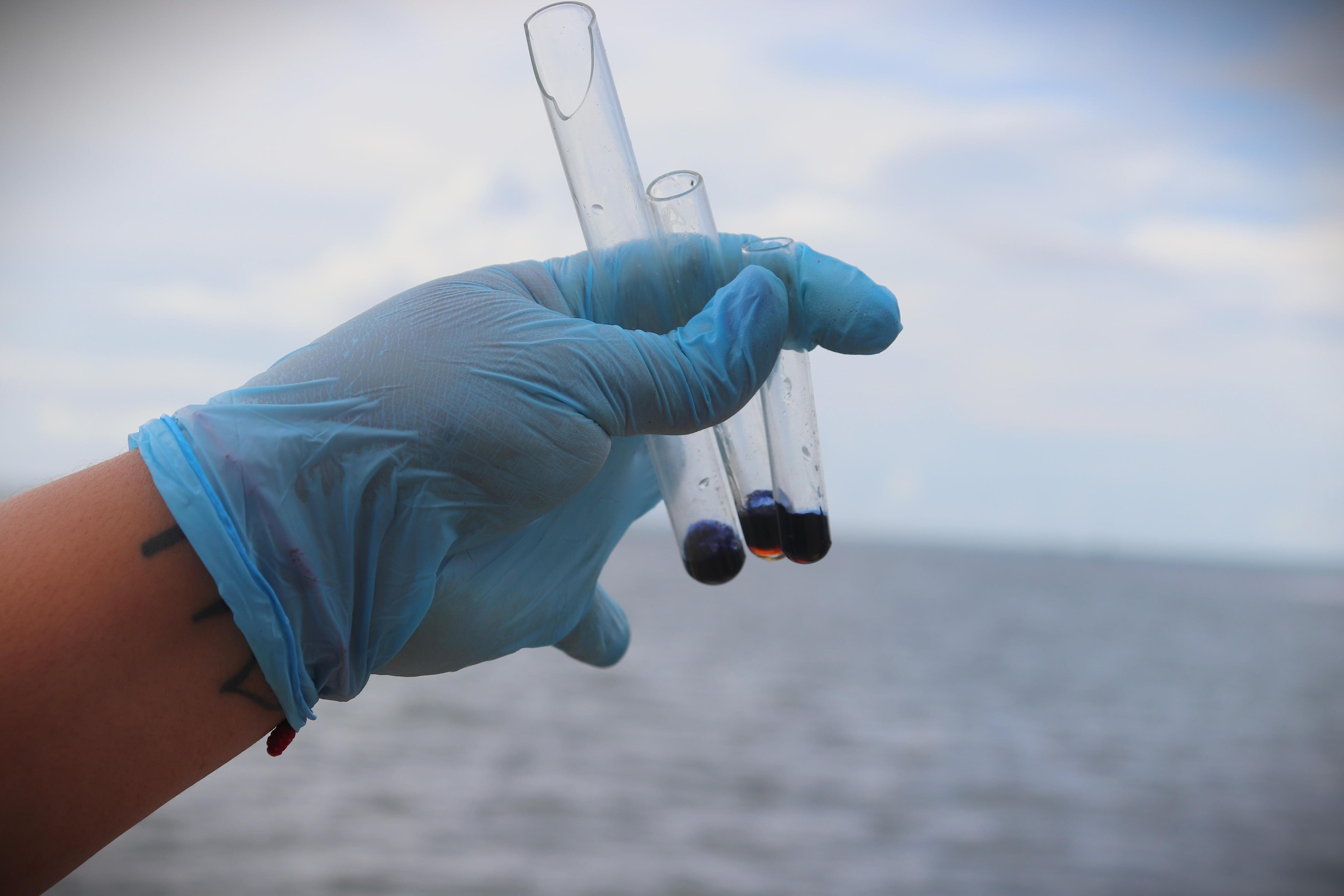 Armada incauta más de una tonelada de marihuana y coca en San Andrés; así fue la operación conjunta con EE. UU.