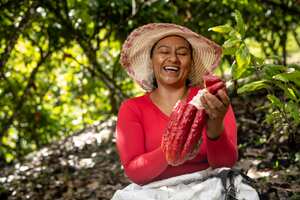 Cordillera Especial Cacao