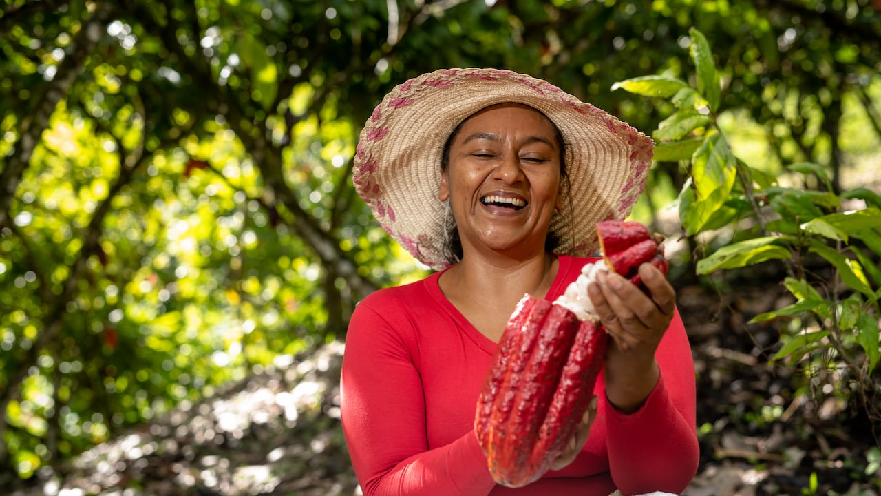 Cordillera Especial Cacao