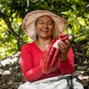 Cordillera Especial Cacao