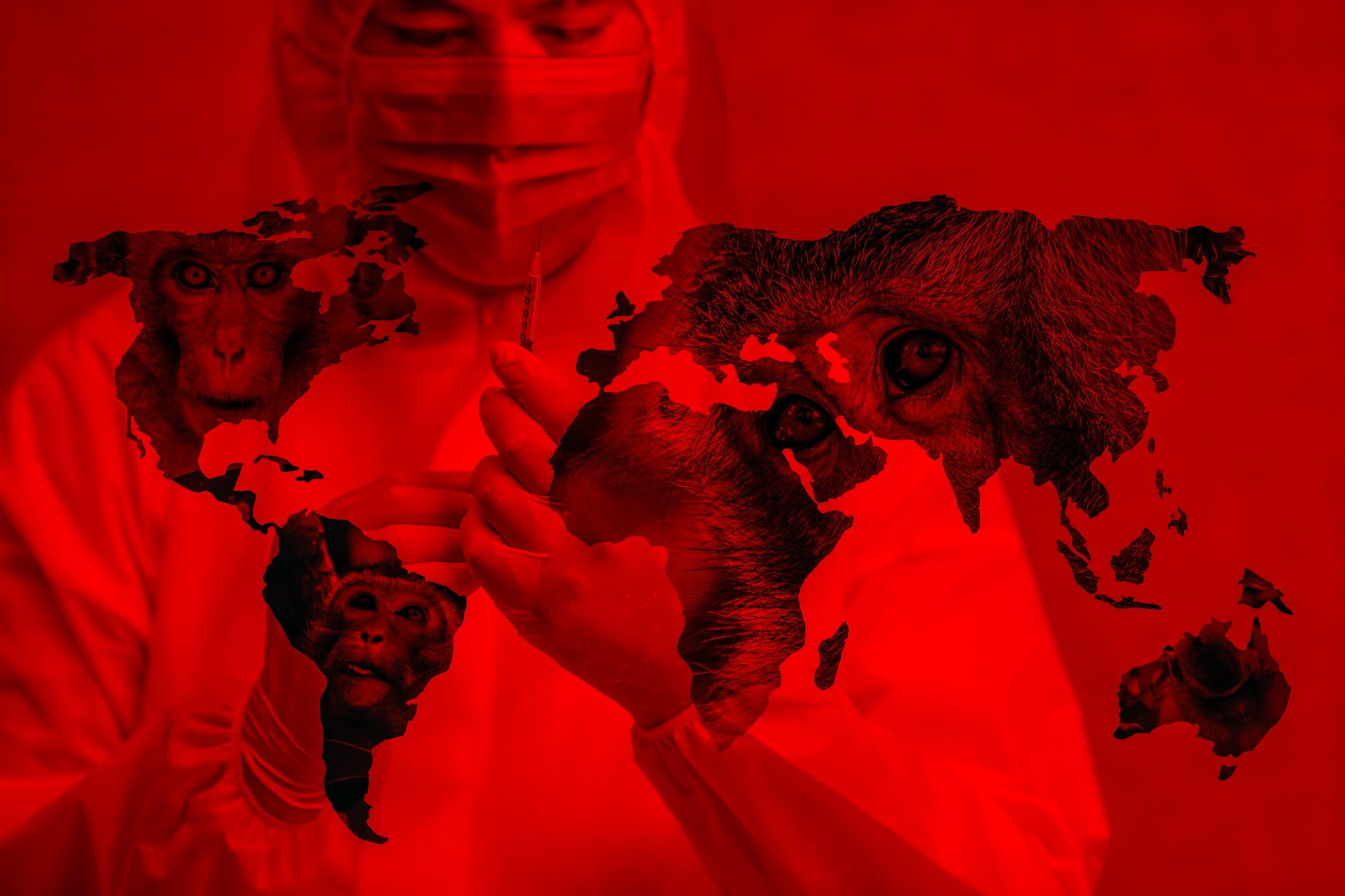 Foto de referencia de un virus