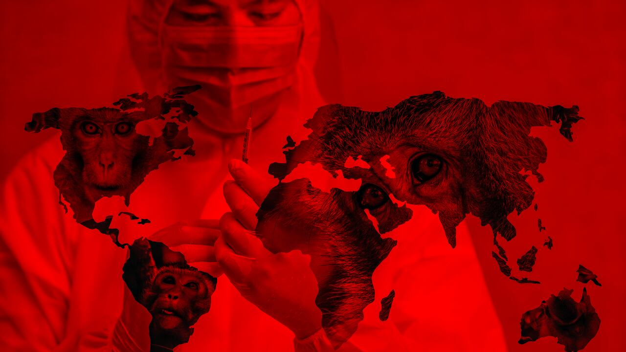 Foto de referencia de un virus