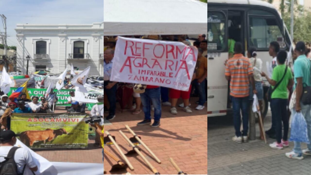 El concejal demostró con fotos las denuncias.