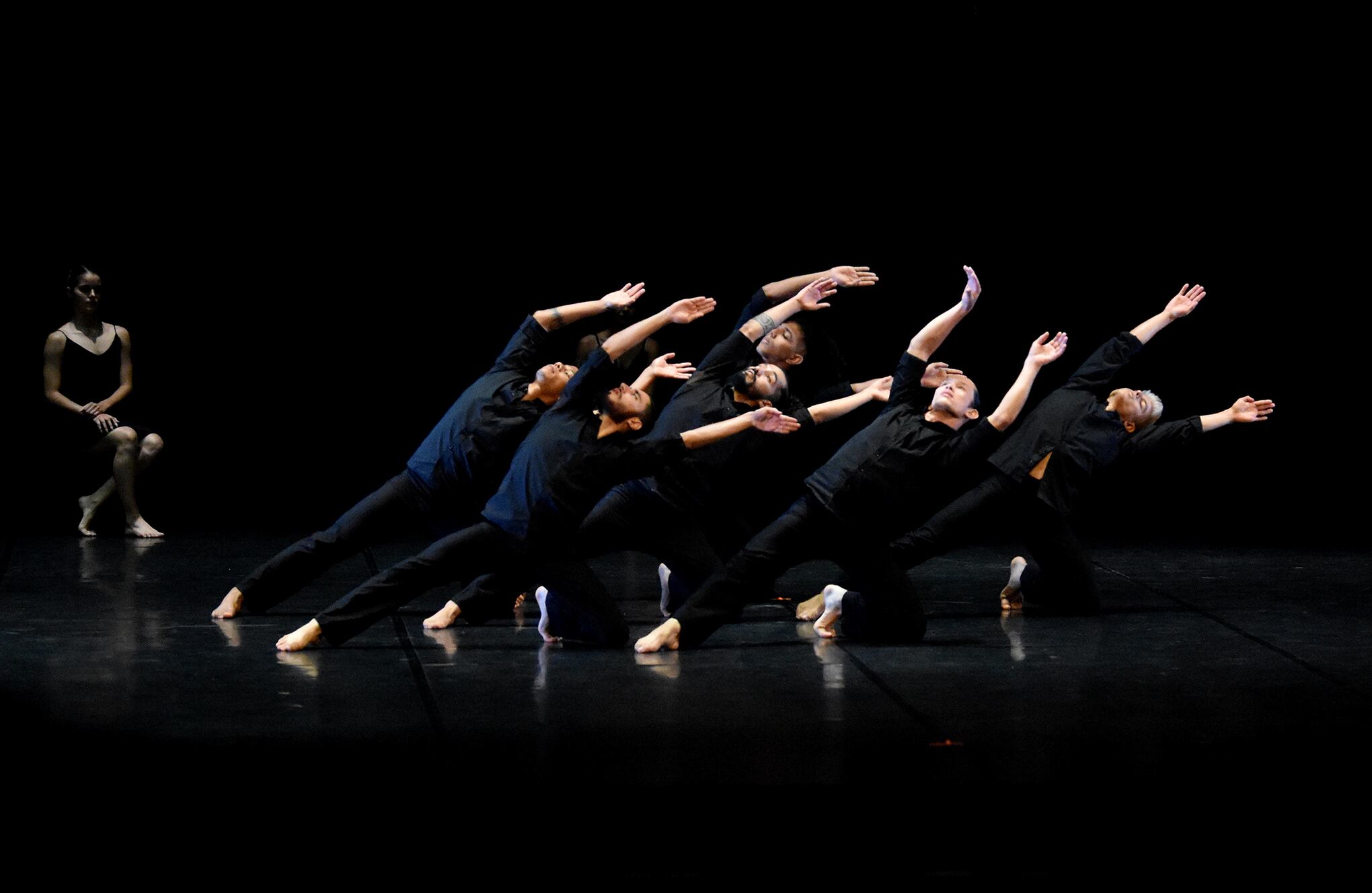 Galeria bienal de danza internacional