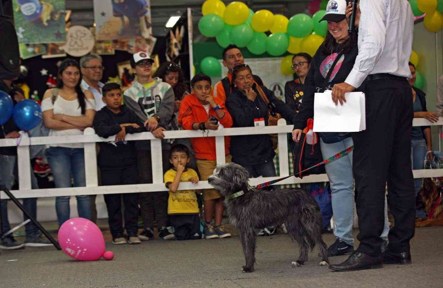Foto: León Darío Peláez / SEMANA 