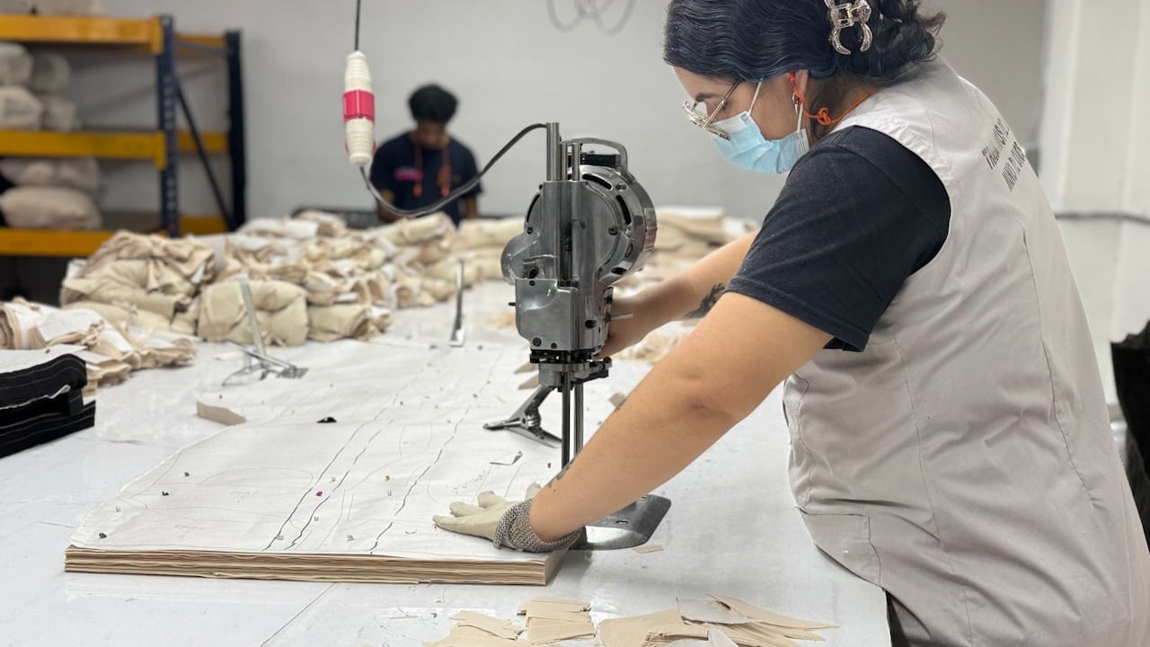 El modelo circular del sector de las fajas