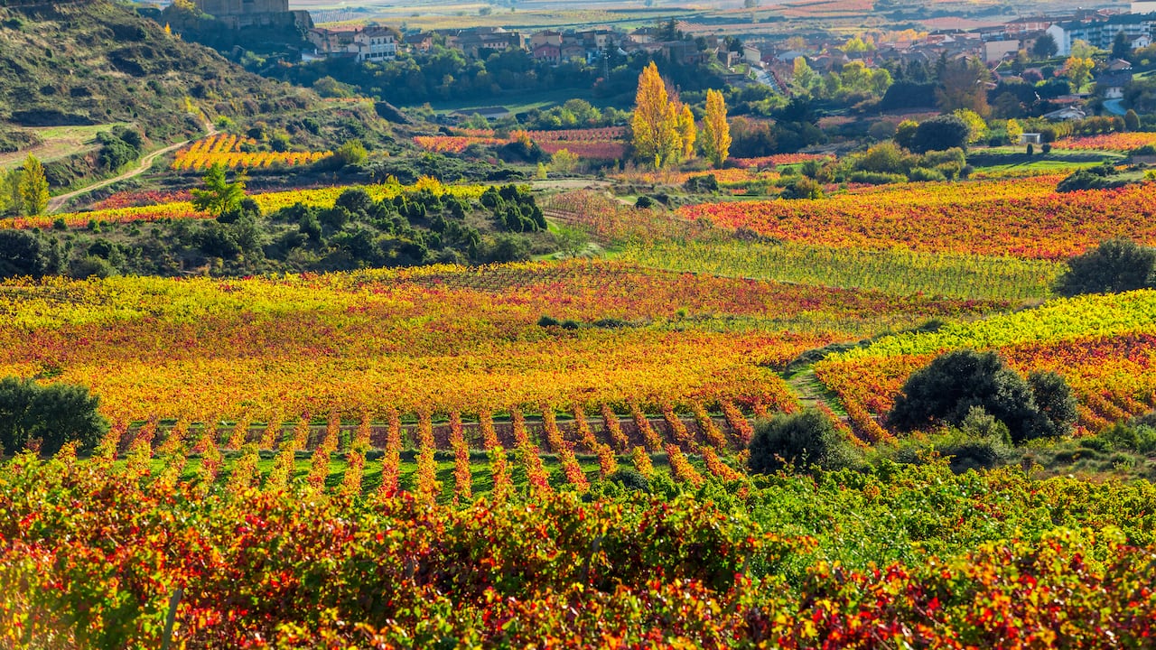 Labastida. Paisajes y viñedos en Rioja alavesa. Álava. País Vasco. País Vasco. Euskadi. ESPAÑA