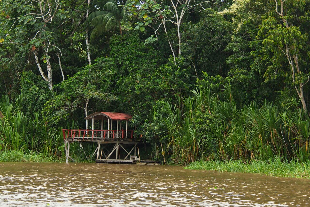 Iván Duque aclara cuántas vacunas serán enviadas al Amazonas tras vainazo de Claudia López